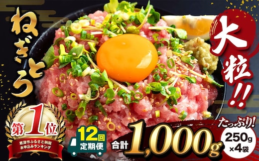 【定期便12回】大人気！ねぎとろ（ 250g × 4袋 ）合計 1000g 清幸丸水産 | ネギトロ とろ 鮪 海鮮 魚介 魚 人気 小分け 人気 定番 ご飯 オススメ | 千葉県 君津市