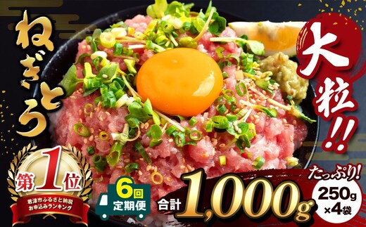 【定期便6回】大人気！ねぎとろ（ 250g × 4袋 ）合計 1000g 清幸丸水産 | ネギトロ とろ 鮪 海鮮 魚介 魚 人気 小分け 人気 定番 ご飯 オススメ | 千葉県 君津市