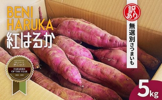 先行受付【訳あり】さつま芋 紅はるか 約5kg 千葉県香取市産【2025年12月上旬より順次発送】KTRAZ005 さつまいも さつま芋 芝山農園 香取市 