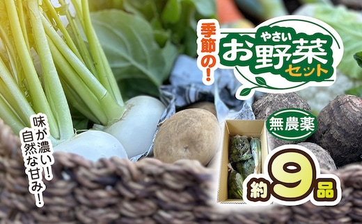 無農薬野菜 季節のお野菜セット KTRCP001