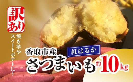【先行予約】【訳あり】香取市産 さつまいも 紅はるか 約10kg×1 焼き芋やスイートポテトにどうぞ KTRW003 / 芋 サツマイモ さつま芋 紅はるか べにはるか ベニハルカ 焼き芋 焼芋 焼いも お芋 おいも いも 生芋
