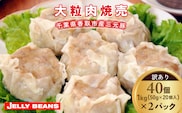 【訳あり】千葉県香取市産三元豚　大粒肉焼売 40個【1kg(50g×20個入)×2パック】 KTRCH004 / 三元豚 焼売 しゅうまい シュウマイ 手包み 中華 大粒 国産 豚肉 おかず つまみ お弁当 お取り寄せ 千葉県 香取市