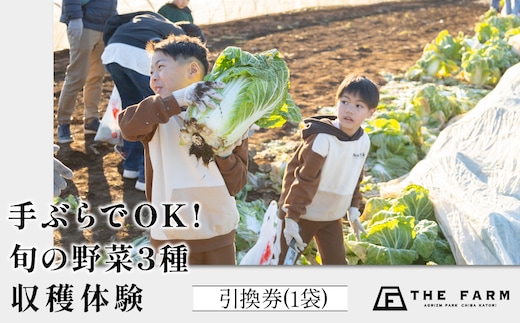 手ぶらでOK!THE FARMの旬の野菜収穫体験引換券(1袋) TFM005