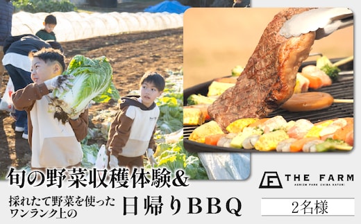 THE FARMで収穫体験&採れたて新鮮野菜をBBQで食べる贅沢な食体験(2名様) TFM006