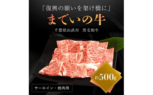 【約500g・サーロイン・焼肉用】山武牛「までいの牛®」 SMAJ005