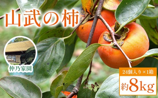 【2025年10月下旬発送開始】山武の柿 約8kg(24個入り×1箱) SML001