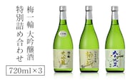 梅一輪 大吟醸酒 特別詰め合わせ SMC002