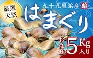 九十九里浜産活天然はまぐりサイズお任せ5kg入り SMBB003