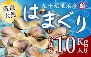 九十九里浜産活天然はまぐりサイズお任せ10kg入り SMBB004