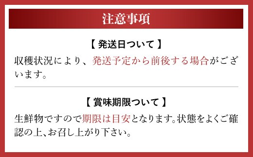 2025年分先行予約】幻のナイルメロン 全国で10人ほどの農家でしか栽培されていない幻のメロン 約1.5kg×2玉 / メロン ナイルメロン 幻のメロン  甜瓜 青肉 青肉メロン 千葉県 山武市 SMAE001 | dショッピングふるさと納税百選