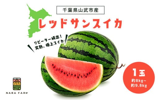 【先行予約】【2027年6月上旬から発送】レッドサンスイカ（約8kg～約9.8kg×1玉） SMAF001