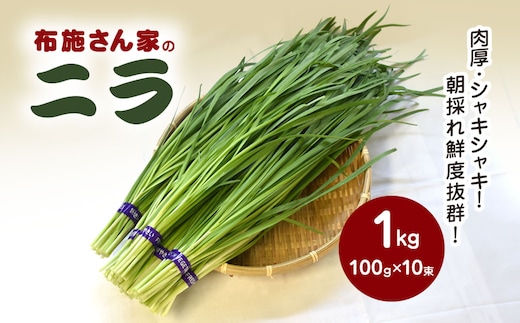 【先行予約】【11月から発送】肉厚・シャキシャキ! 朝採れ鮮度抜群! 布施さん家のニラ 1kg(100g×10束) SMBY001