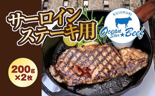 脂と赤身のバランスが最高! ブランド牛 九十九里オーシャンスタービーフ サーロインステーキ用 200g×2枚 SMCE002