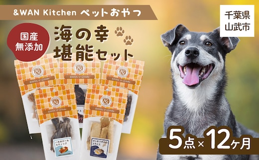 【毎月届く】&WAN Kitchenペットおやつセット（海の幸堪能セット）（サメスライス/鮭まるごとビッツ/まぐろスティック/ハモしっぽ/エイまるごとチップ）SMU024