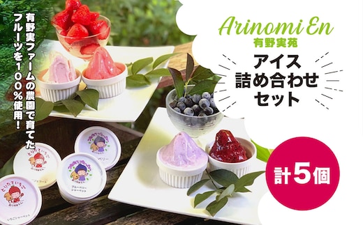 農園で育てたフルーツを100％使用! 有野実ファームのアイス詰め合わせセット SMN008