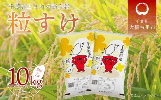 千葉県産「粒すけ」10kg（5kg×2袋） お米 10kg 千葉県産 大網白里市 粒すけ 米 精米 こめ 送料無料 A006