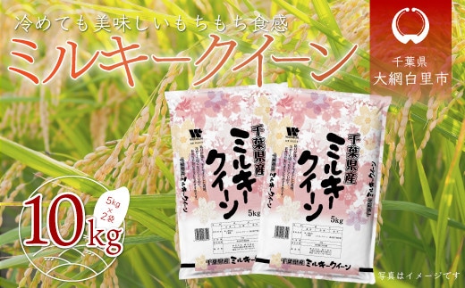 令和8年産 千葉県産「ミルキークイーン」10kg（5kg×2袋） お米 10kg 千葉県産 大網白里市 ミルキークイーン 米 精米 こめ 送料無料 A007
