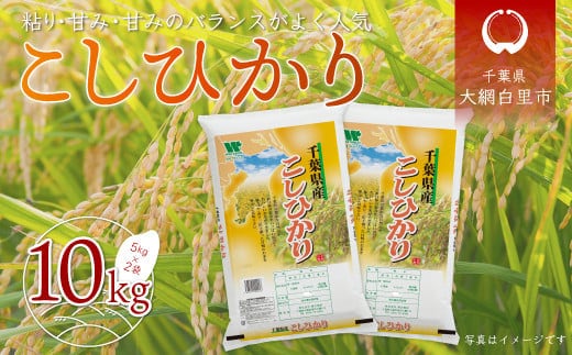 令和7年産 千葉県産「コシヒカリ」10kg（5kg×2袋） お米 10kg 千葉県産 大網白里市 コシヒカリ 米 精米 こめ 送料無料 A011