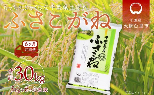 ＜6ヶ月定期便＞千葉県産「ふさこがね」5kg×6ヶ月連続 計30kg ふるさと納税 米 定期便 5kg ふさこがね 千葉県 大網白里市 送料無料 A021