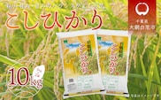 令和7年産 千葉県産「コシヒカリ」10kg（5kg×2袋） お米 10kg 千葉県産 大網白里市 コシヒカリ 米 精米 こめ 送料無料 A011
