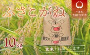 千葉県産「ふさこがね」玄米10kg（10kg×1袋） ふるさと納税 玄米 10kg 千葉県産 大網白里市 ふさこがね 米 こめ 送料無料 A012