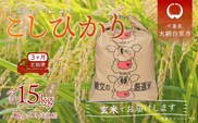 ＜3ヶ月定期便＞千葉県産エコ米「コシヒカリ」玄米5kg×3ヶ月連続 計15kg ふるさと納税 玄米 定期便 5kg コシヒカリ エコ米 米 千葉県 大網白里市 送料無料 A018