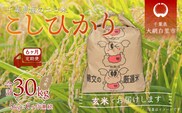 ＜6ヶ月定期便＞千葉県産エコ米「コシヒカリ」玄米5kg×6ヶ月連続 計30kg ふるさと納税 玄米 定期便 5kg コシヒカリ エコ米 米 千葉県 大網白里市 送料無料 A019