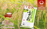 ＜6ヶ月定期便＞千葉県産「ふさこがね」5kg×6ヶ月連続 計30kg ふるさと納税 米 定期便 5kg ふさこがね 千葉県 大網白里市 送料無料 A021