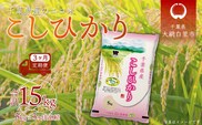 ＜3ヶ月定期便＞千葉県産エコ米「コシヒカリ」5kg×3ヶ月連続 計15kg ふるさと納税 米 定期便 5kg コシヒカリ エコ米 千葉県 大網白里市 送料無料 A022