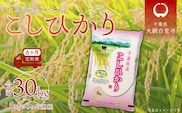 ＜6ヶ月定期便＞千葉県産エコ米「コシヒカリ」5kg×6ヶ月連続 計30kg ふるさと納税 米 定期便 5kg コシヒカリ エコ米 千葉県 大網白里市 送料無料 A023