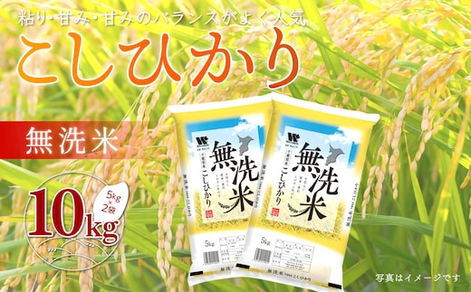 令和７年産 千葉県産「コシヒカリ」無洗米10kg（5kg×2袋） ふるさと納税 米 無洗米 コシヒカリ こしひかり 千葉県 大網白里市 A041