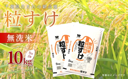 令和7年産 千葉県産「粒すけ」10kg無洗米（5kg×2袋）ふるさと納税 お米 米 こめ コメ 無洗米 10kg 粒すけ 千葉県 大網白里市 A044