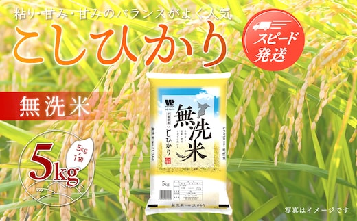 新米 令和8年産 千葉県産「コシヒカリ」無洗米 5kg（5kg×1袋） A051