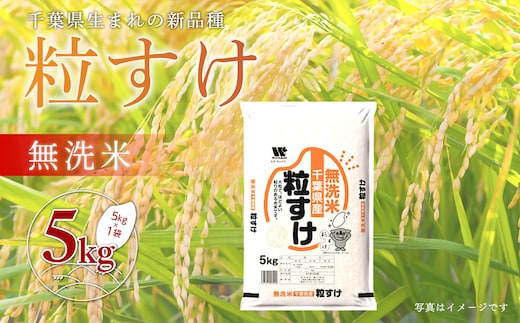 令和7年産 千葉県産「粒すけ」無洗米5kg（5kg×1袋） ふるさと納税 米 こめ お米 5kg 粒すけ 精米 送料無料 千葉県 大網白里市 A063