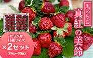 【2027年1月下旬発送開始】＜黒いちご＞真紅の美鈴 大サイズ 12玉又は15玉×2セット ふるさと納税 いちご 苺 イチゴ 千葉 大網白里市 送料無料 AB001
