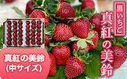 【2026年1月下旬発送開始】黒いちご・真紅の美鈴（中サイズ） ふるさと納税 いちご 苺 イチゴ 千葉 大網白里市 送料無料 AB003