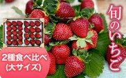 【2027年1月下旬発送開始】＜旬のいちご＞2種食べ比べ（大サイズ）ふるさと納税 いちご 苺 イチゴ 千葉 大網白里市 送料無料 AB004