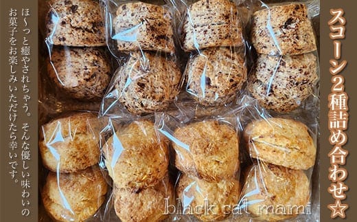 スコーン２種詰め合わせ☆ ふるさと納税 焼菓子 詰め合わせ ギフト 千葉県 大網白里市 送料無料 AM002