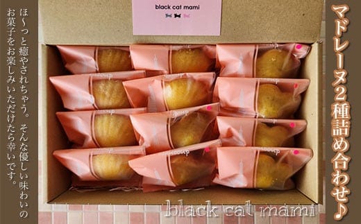 マドレーヌ2種詰め合わせ♪ ふるさと納税 焼菓子 詰め合わせ ギフト 千葉県 大網白里市 送料無料 AM003