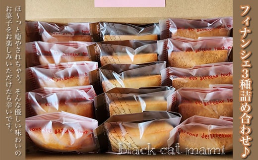 フィナンシェ3種詰め合わせ♪ ふるさと納税 焼菓子 詰め合わせ ギフト 千葉県 大網白里市 送料無料 AM004