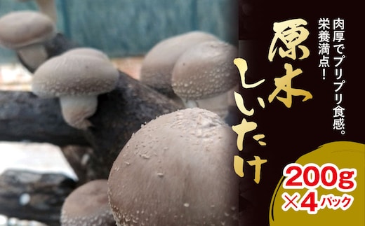 原木しいたけ 200ｇ×4パック AU003