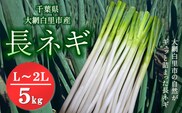 ★先行予約★【2025年12月発送開始予定】千葉県大網白里市産　長ネギ　L～2Lサイズ　5㎏（約30本～45本）AV001