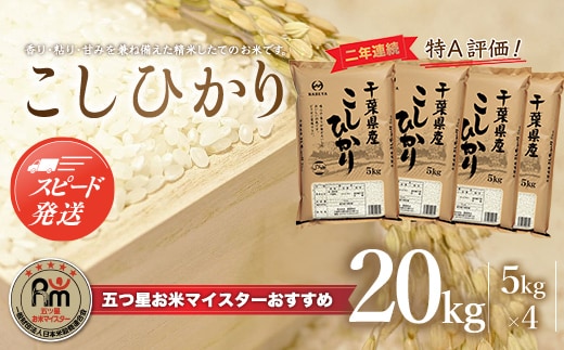 【最短2～7営業日出荷】令和7年産 2年連続特A評価!千葉県産コシヒカリ20kg（5kg×4袋） E003