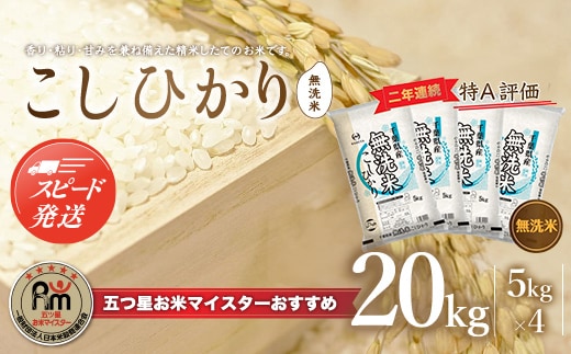 【最短2～7営業日出荷】令和7年産 2年連続特A評価!千葉県産コシヒカリ20kg無洗米（5kg×4袋） E005