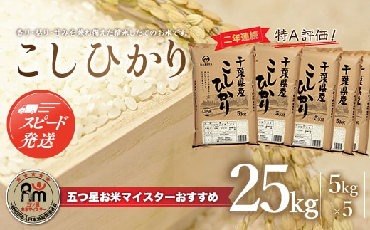 【最短2～7営業日出荷】令和7年産 2年連続特A評価!千葉県産コシヒカリ25kg（5kg×5袋） E007