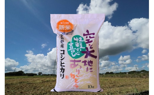 【新米先行受付 令和8年産】千葉県産コシヒカリ(精米) 10kg[10kg×1袋] 千葉県産 大網白里市 コシヒカリ 米 精米 こめ 送料無料G001