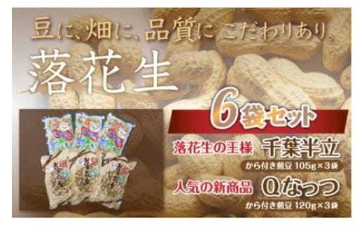 千葉県 大網白里市産 落花生千葉半立、Qナッツさやつき煎り豆6袋セット 落花生 おつまみ 千葉県産 大網白里市 送料無料
