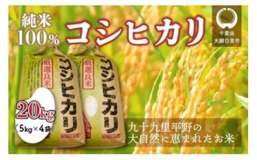 千葉県 大網白里市産 コシヒカリ 20kg（10kg×2袋） お米 20kg 千葉県産 大網白里市 コシヒカリ 米 精米 こめ 送料無料