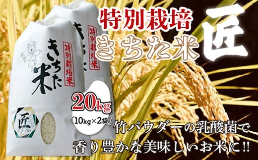 千葉県 大網白里市産 きちた米『匠(たくみ)』 （特別栽培米 コシヒカリ）20kg（10kg×2袋） 特別栽培米 お米 20kg 千葉県産 大網白里市 コシヒカリ 米 精米 こめ 送料無料