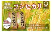 【令和8年産】千葉県 大網白里市産 コシヒカリ 20kg（10kg×2袋） お米 20kg 千葉県産 大網白里市 コシヒカリ 米 精米 こめ 送料無料